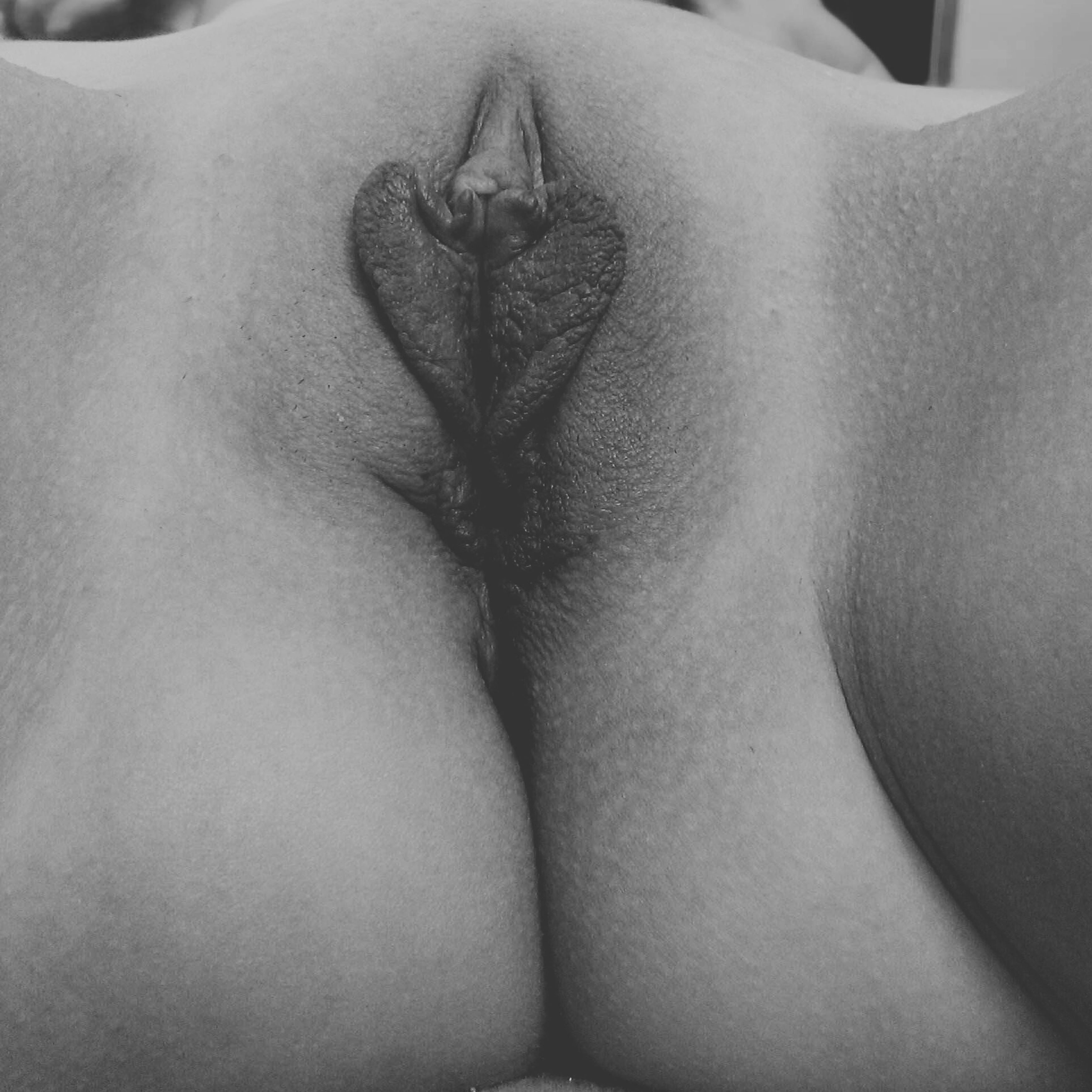 Close up image of a female vulva with extended vaginal lips.