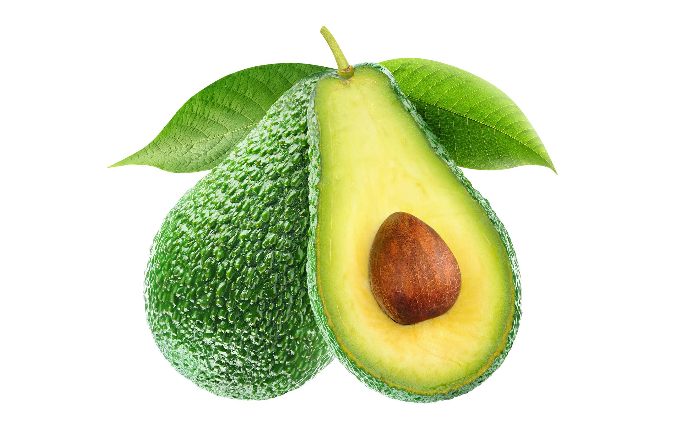 The Power of Avocado