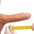 Penis size uptrend, getting larger.