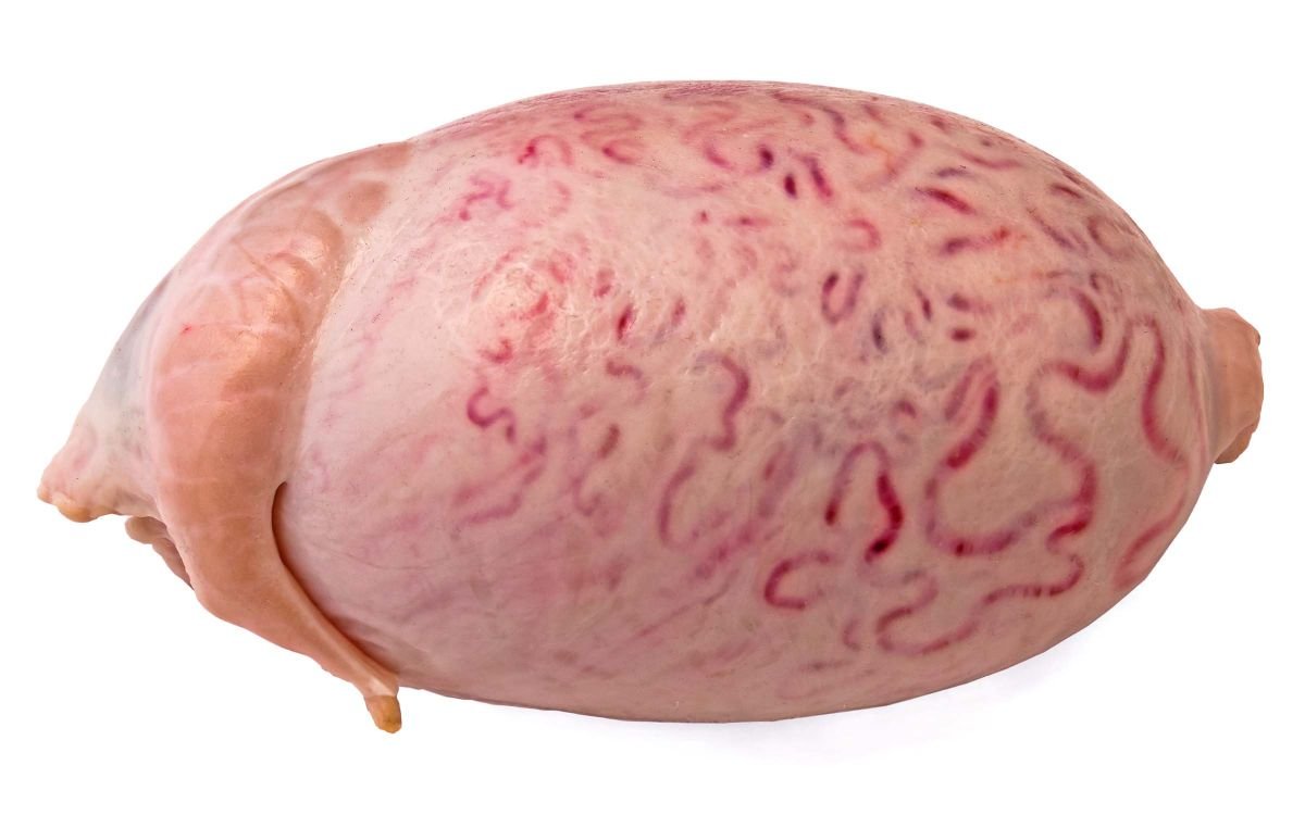 Bull testicles high in vitamins and potassium