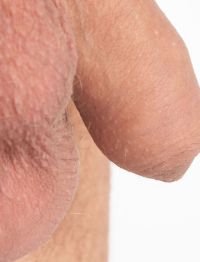 How Human Testicles Regulate Temperature
