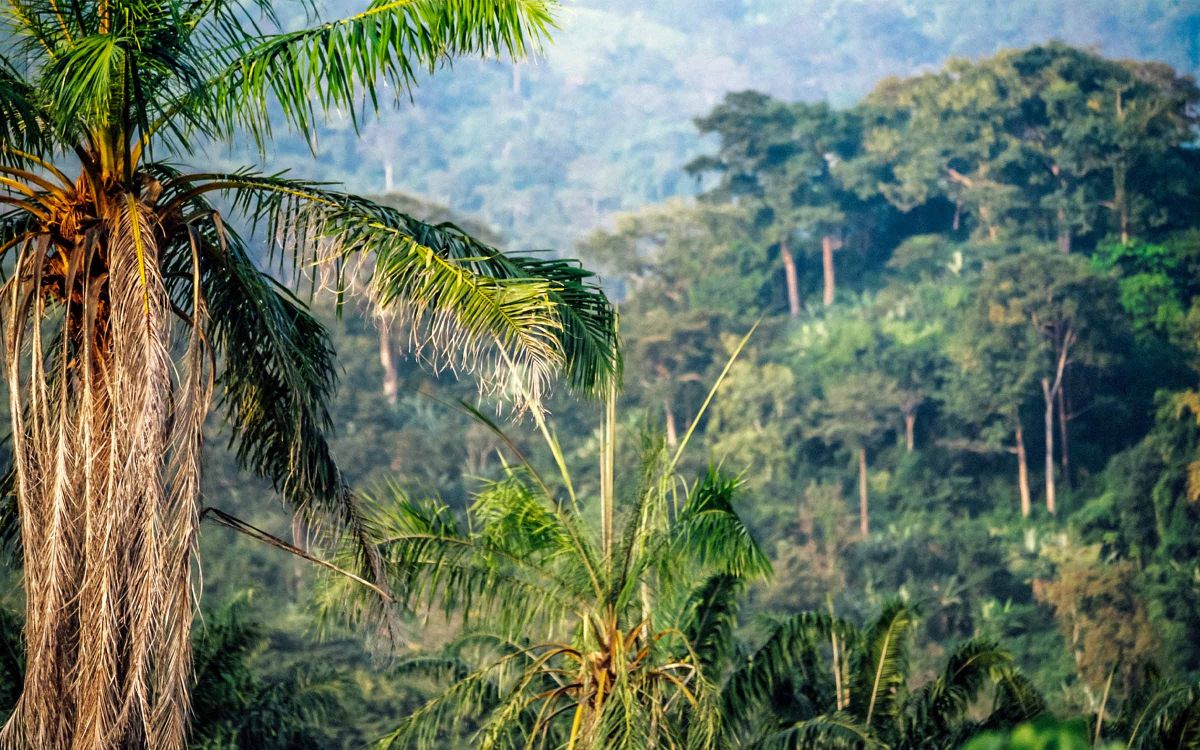 Togo: The Essential Guide for Visitors